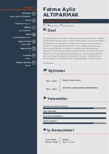 Matematik Öğretmeni Cv Örnekleri cv indir